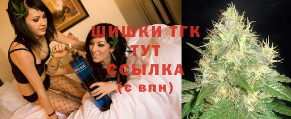 прущие грибы Алексеевка