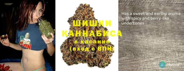 ECSTASY Абаза