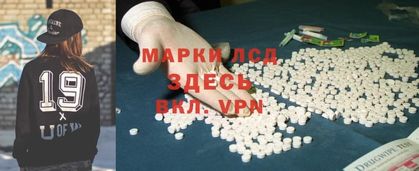 прущие грибы Алексеевка